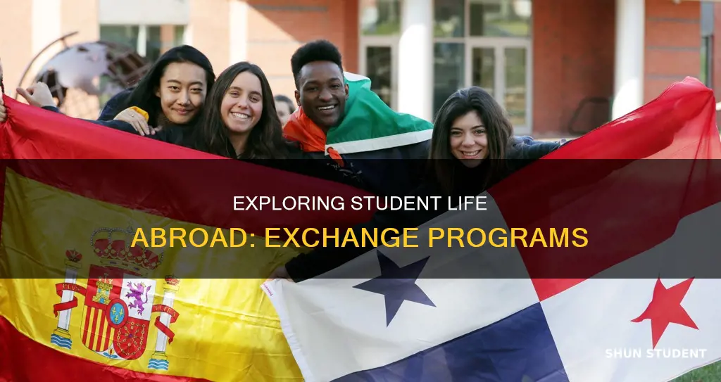 what is an international exchange student