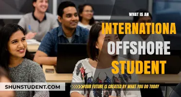 Offshore Study: International Students' Unique University Experience