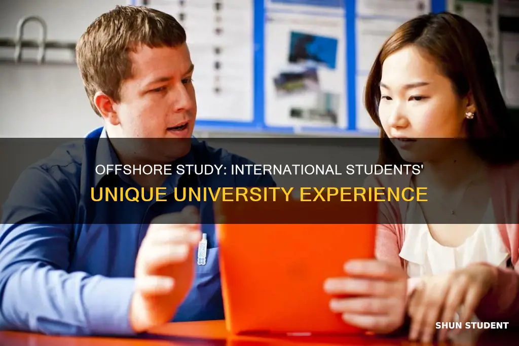 what is an international offshore student