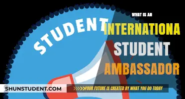 Ambassador Role: Supporting International Students