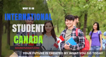 International Students in Canada: Who Are They?