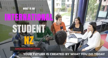 International Students in NZ: Who Are They?