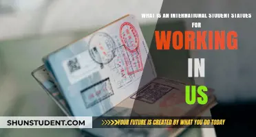 International Student Work Status in the US: What's Allowed?