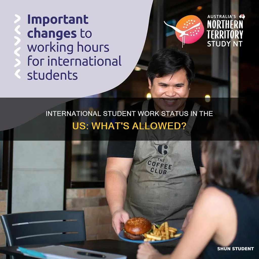 what is an international student statues for working in us