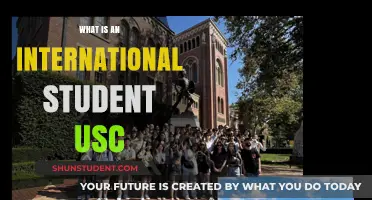 International Student Experience at USC