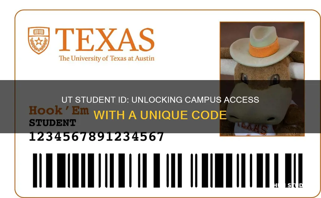 what is an university of texas student eid