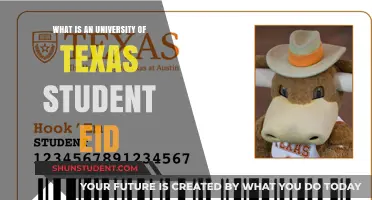 Understanding Your University of Texas EID