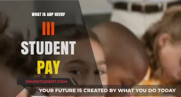 Student Payment Details for ARP HEERF III