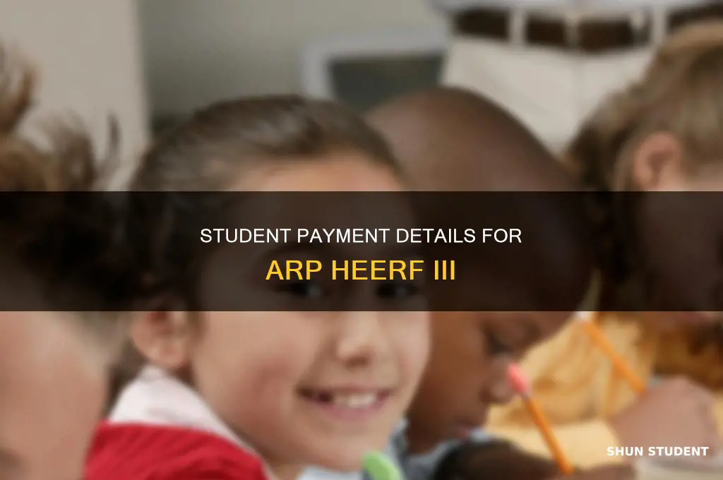 what is arp heerf iii student pay