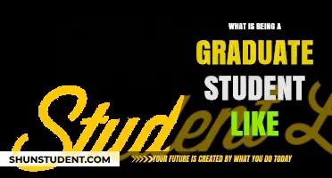 Navigating the Graduate Student Journey: Insights and Experiences