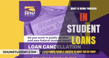Understanding Student Loan Forgiveness: What Debts Are Being Erased?