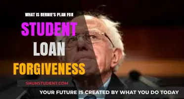 Bernie's Student Loan Forgiveness Plan: A Comprehensive Breakdown