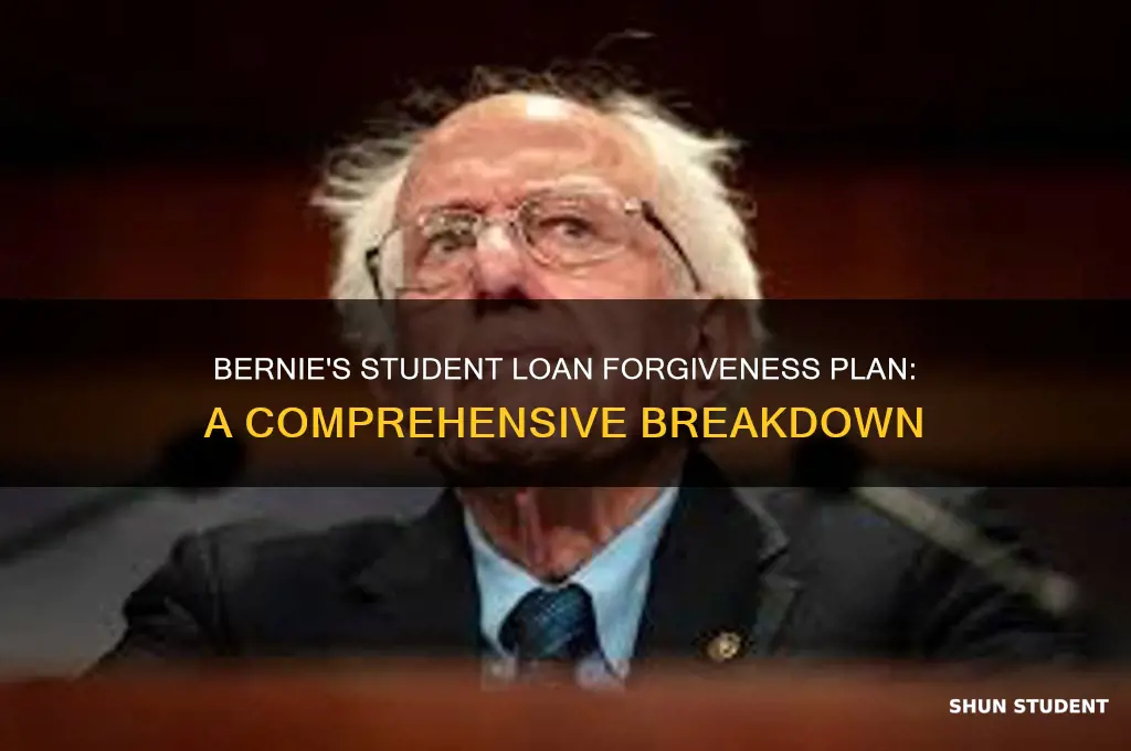 what is bernie
