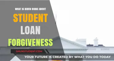 Biden's Student Loan Forgiveness Plan: Updates and Impact Explained