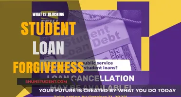 Legal Battles and Political Hurdles Blocking Student Loan Forgiveness