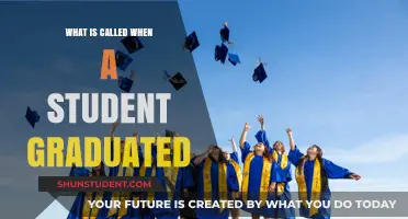 The Moment of Triumph: Celebrating Student Graduation