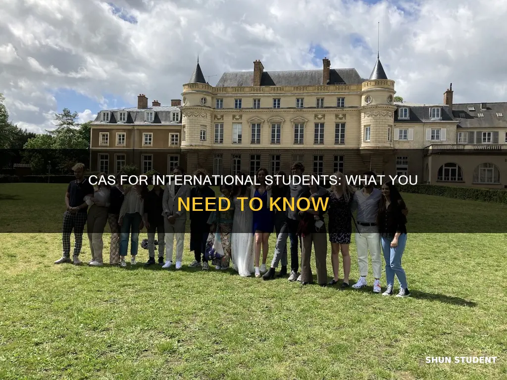 what is cas for international students