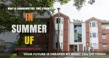 Exploring Full-Time Student Status During Summer at UF