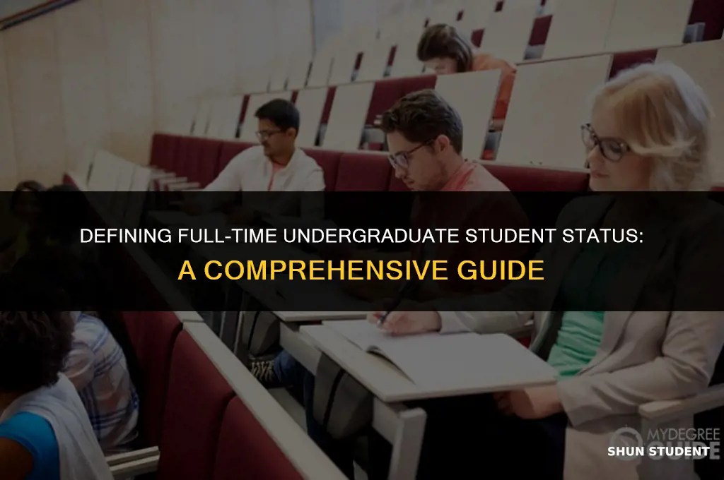 what is considered full time undergraduate student