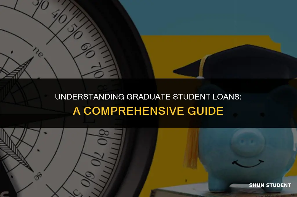 what is considered graduate student loan