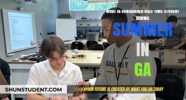 Exploring Half-Time Student Status During Summer in Georgia