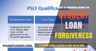 Understanding Income Eligibility for Student Loan Forgiveness Programs