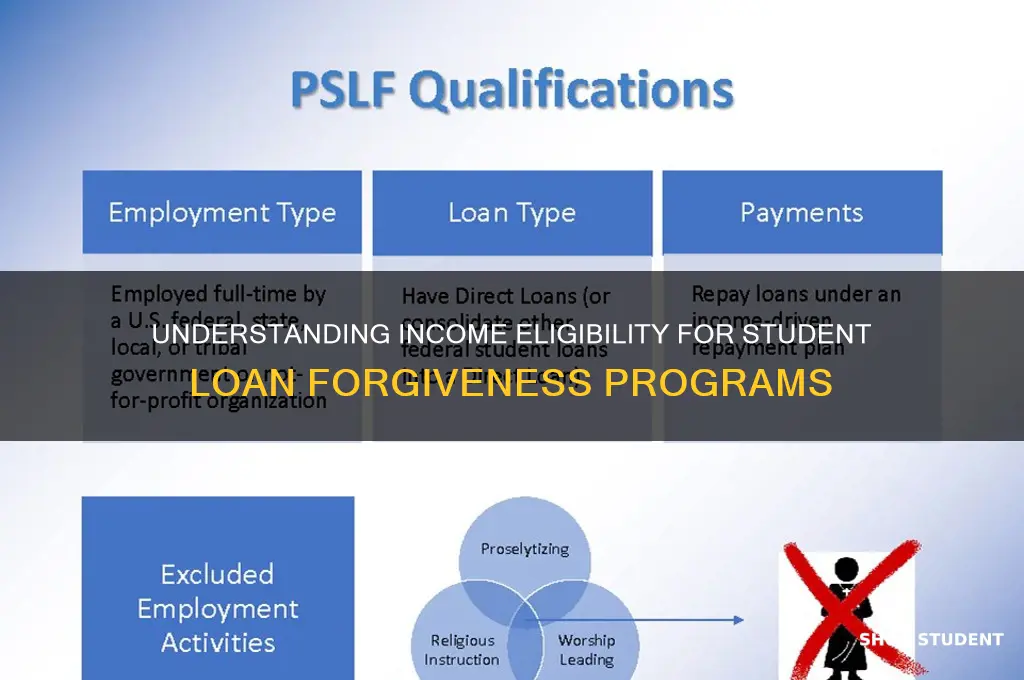 what is considered income for student loan forgiveness