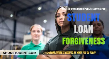 Understanding Public Service Roles for Student Loan Forgiveness Eligibility