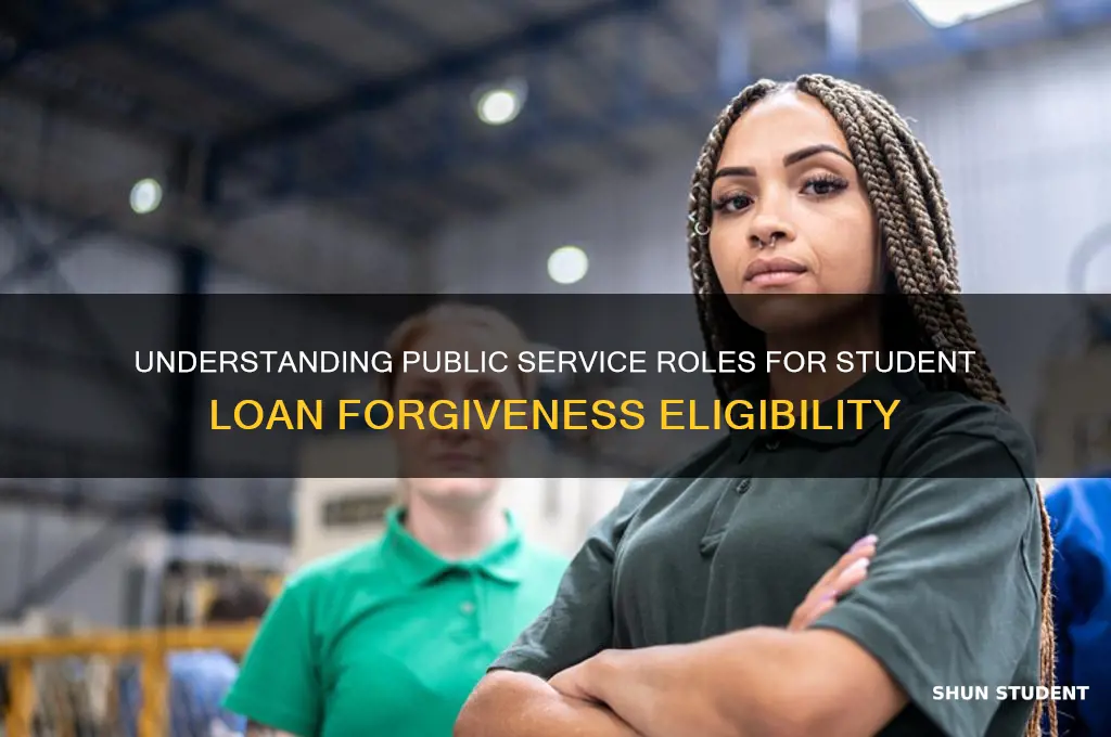 what is considered public service for student loan forgiveness