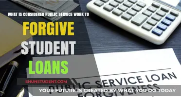 Understanding Public Service Work for Student Loan Forgiveness Programs