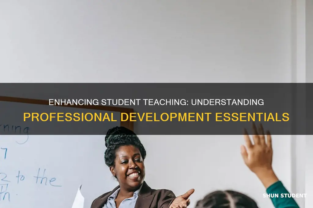 what is considered student teaching professional development