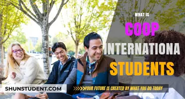 International Student Co-op Opportunities: Your Global Gateway