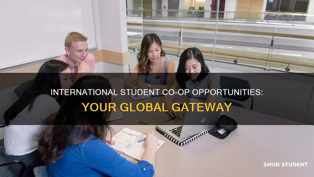 what is coop international students