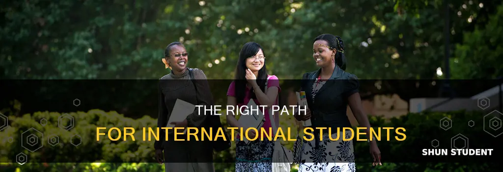 what is correct international student