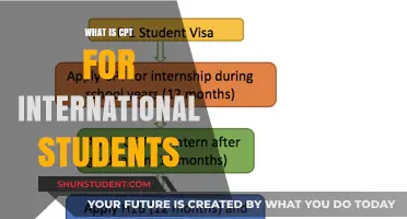 CPT for International Students: Eligibility and Process