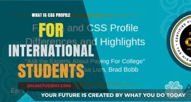 Understanding CSS Profile for International Student Applications