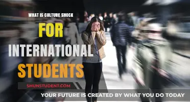 Navigating Culture Shock: International Students' Journey