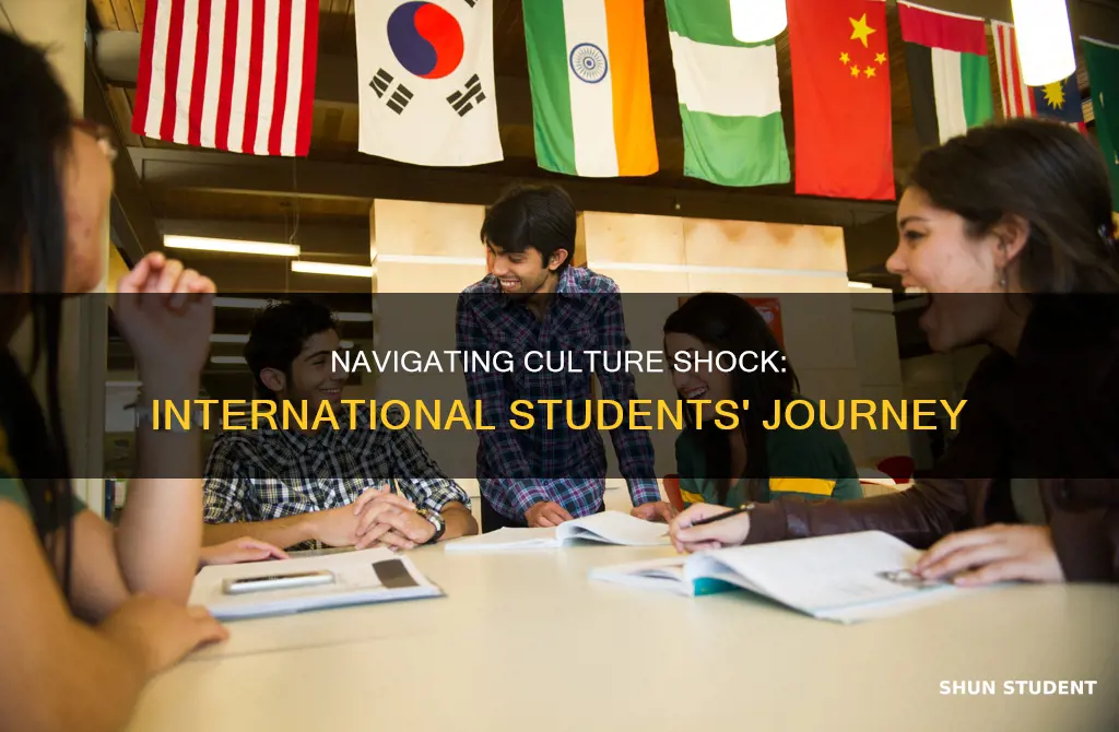 what is culture shock for international students