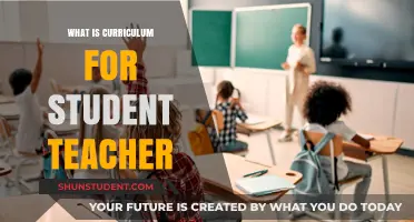 Understanding the Curriculum: A Guide for Student Teachers