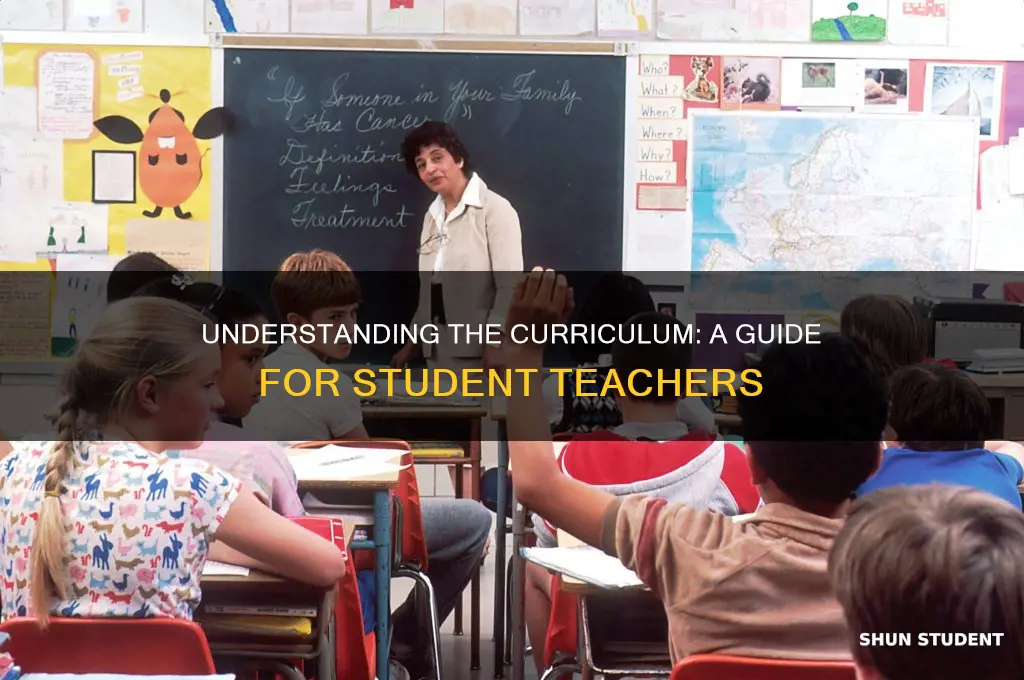 what is curriculum for student teacher