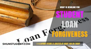 Student Loan Forgiveness Deadline: What Borrowers Need to Know Now