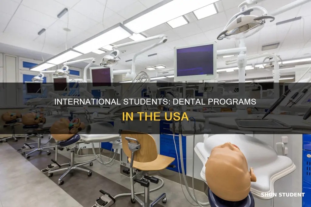 what is dental programs for international students in usa