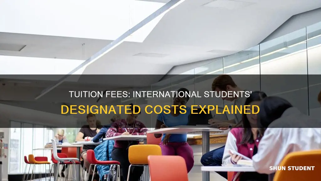 what is designated tuition fees for international students