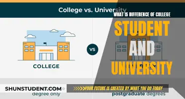 Beyond the Label: Exploring the Nuances of College vs. University Life