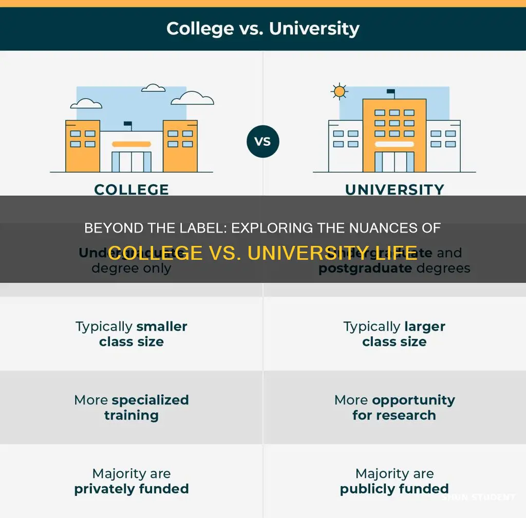 what is difference of college student and university