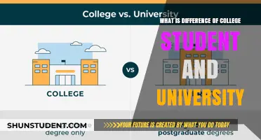 College vs University: Understanding the Key Differences