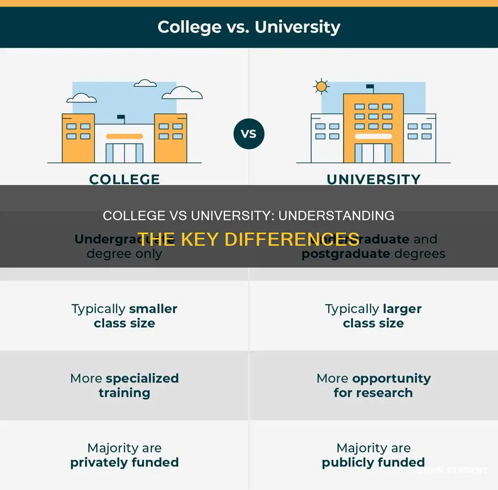 what is difference of college student and university