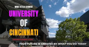 Unveiling theELS Experience: Cincinnati's Student Success Story