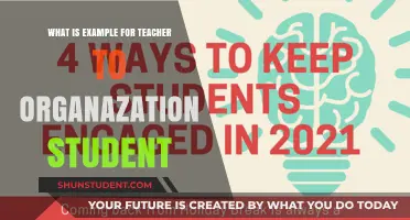 Effective Strategies for Teachers to Organize and Engage Students