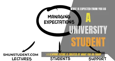 University Expectations: Navigating Academic Success and Personal Growth